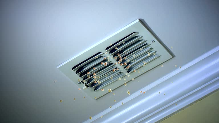 Best Ductwork Cleaning Services  in Penngrove, CA